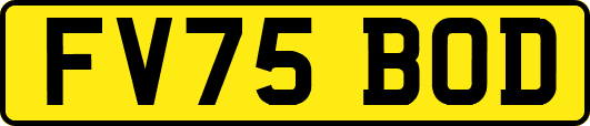FV75BOD