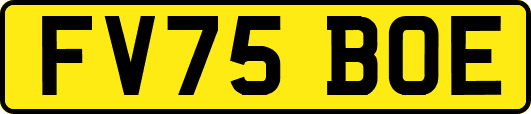 FV75BOE