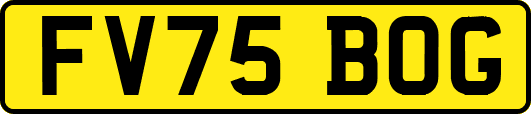 FV75BOG