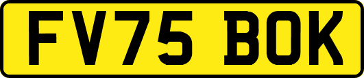 FV75BOK