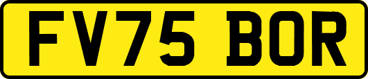 FV75BOR