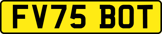 FV75BOT