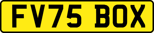 FV75BOX