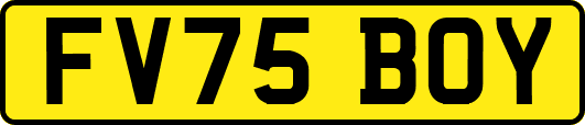 FV75BOY