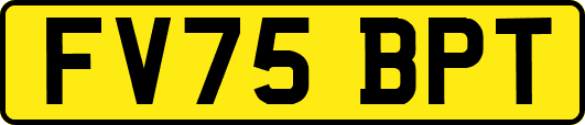 FV75BPT