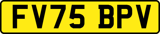 FV75BPV