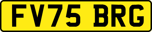 FV75BRG