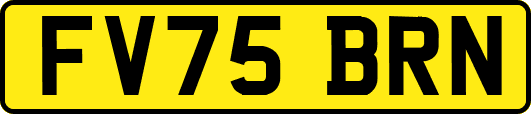 FV75BRN