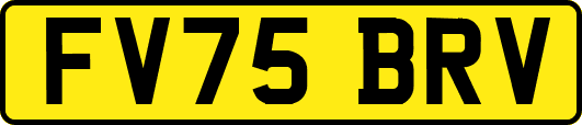 FV75BRV