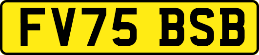 FV75BSB