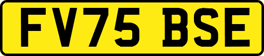 FV75BSE