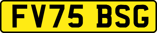 FV75BSG