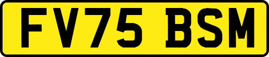 FV75BSM