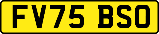 FV75BSO