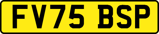 FV75BSP