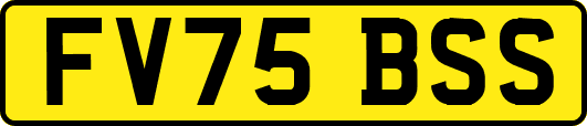 FV75BSS