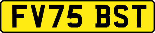 FV75BST