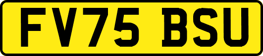 FV75BSU
