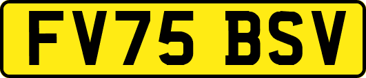 FV75BSV