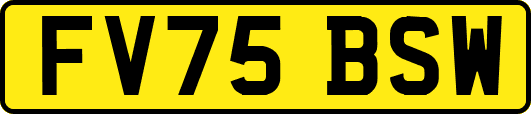 FV75BSW
