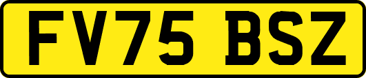 FV75BSZ