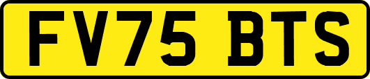 FV75BTS