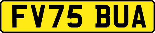 FV75BUA