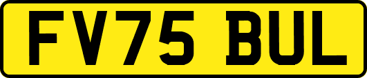 FV75BUL