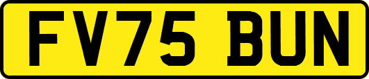 FV75BUN