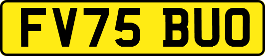 FV75BUO
