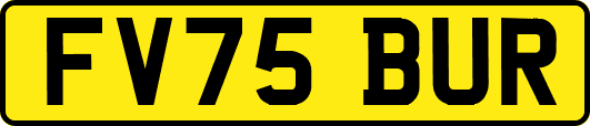 FV75BUR