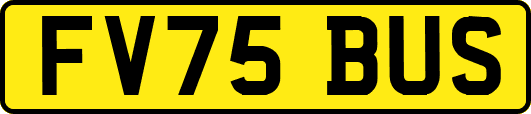 FV75BUS