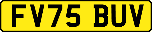 FV75BUV