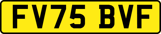 FV75BVF