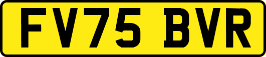 FV75BVR