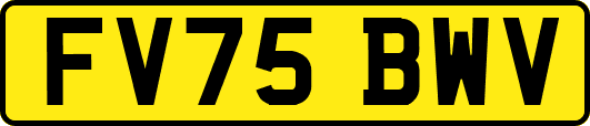 FV75BWV