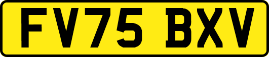 FV75BXV