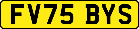 FV75BYS