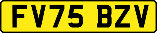 FV75BZV