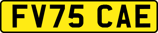 FV75CAE