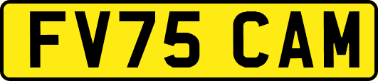 FV75CAM