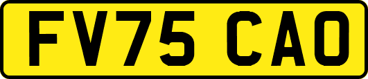 FV75CAO