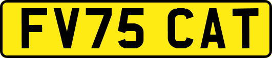 FV75CAT