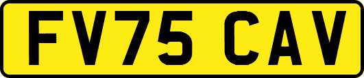 FV75CAV