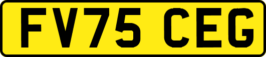 FV75CEG