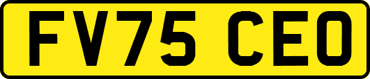 FV75CEO