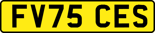 FV75CES
