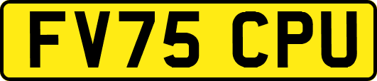 FV75CPU