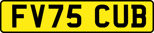 FV75CUB