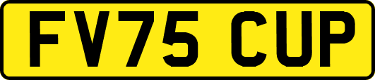 FV75CUP
